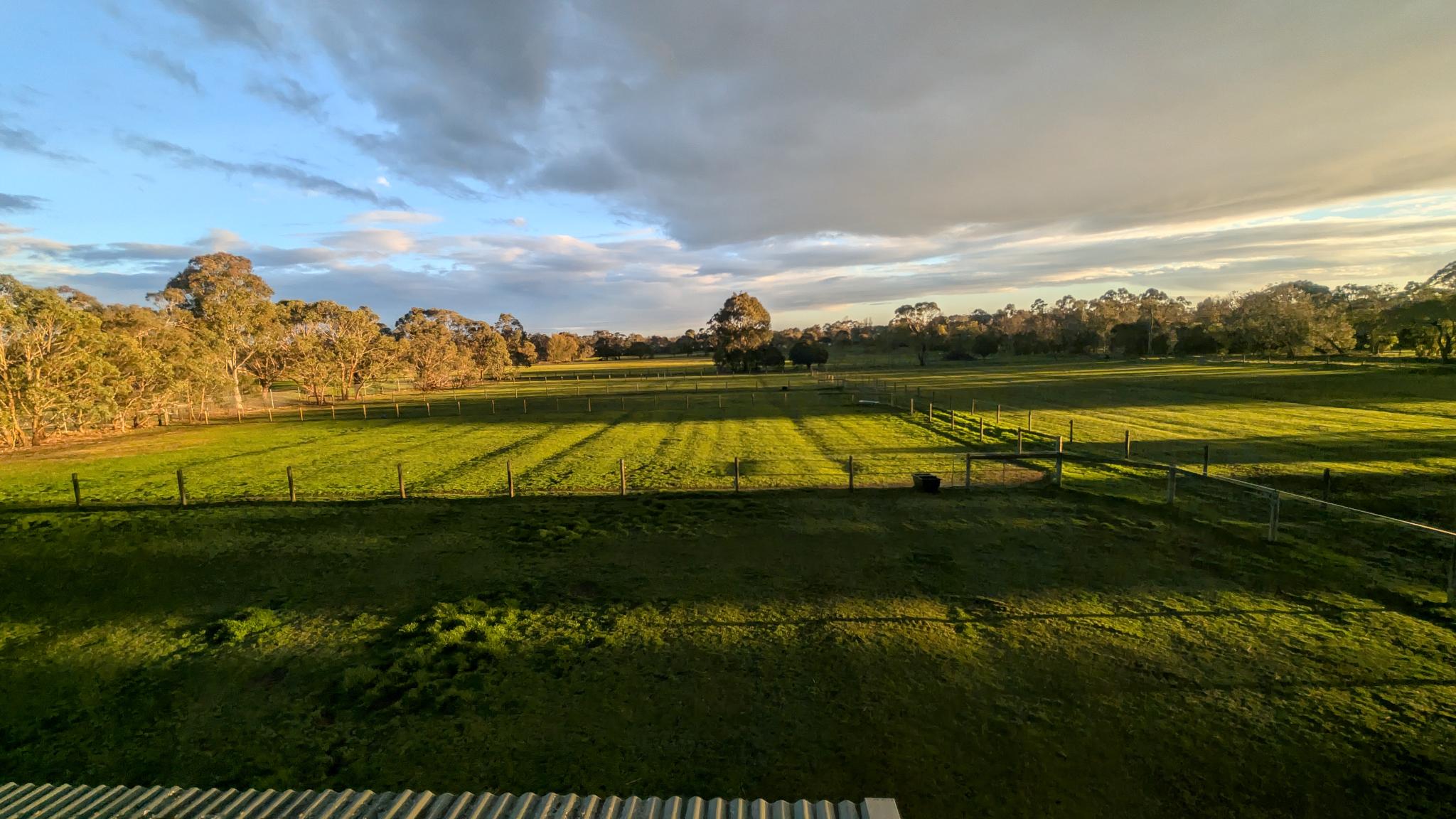 Green Paddocks